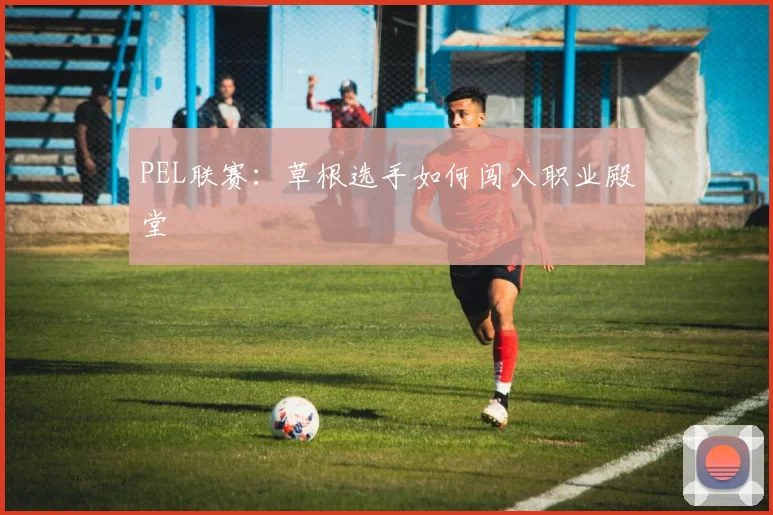 PEL联赛：草根选手如何闯入职业殿堂