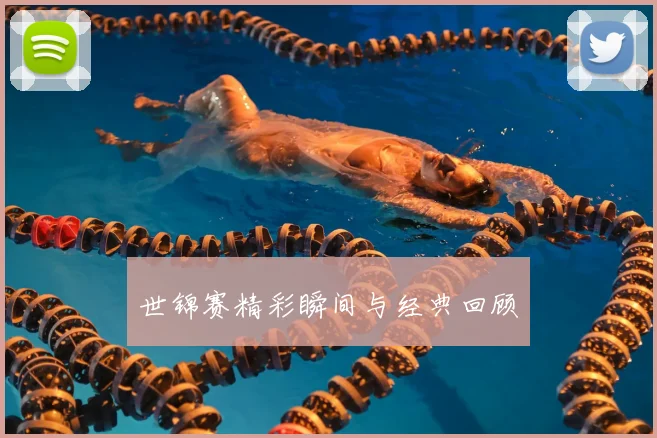 世锦赛精彩瞬间与经典回顾