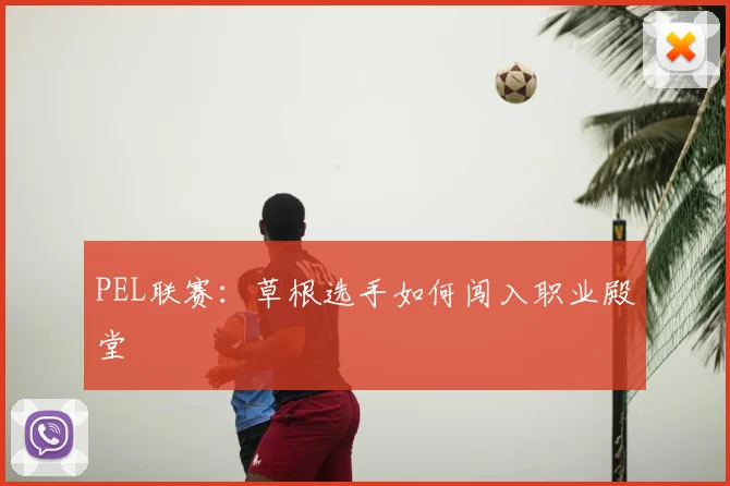 PEL联赛:草根选手如何闯入职业殿堂