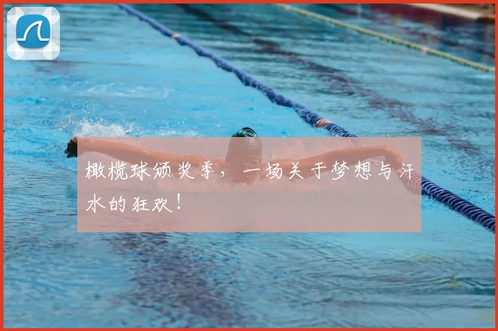 橄榄球颁奖季,一场关于梦想与汗水的狂欢!